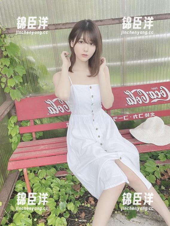 けん研(けんけん)的妹妹，原图分享：这绝对不是我家那只流浪猫的代言人！