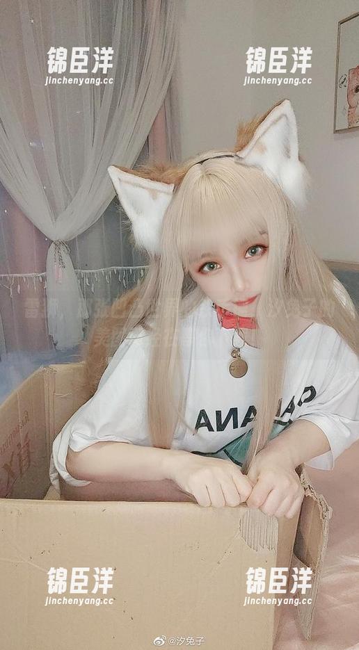 雷狮，那张凹凸世界的杀手锏，汐兔子的美图已经在等你下载！